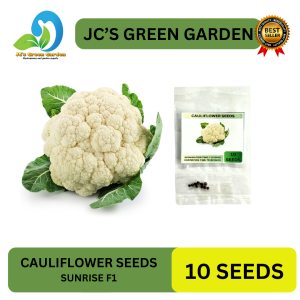 (10 SEEDS) - F1 CAULIFLOWER SEEDS/F1 SUNRISE VARIETY/HYBRID/FIRM FLOWER/EASY TO GROW/MORE PROFIT