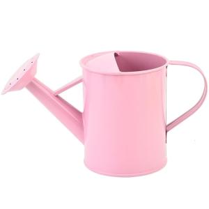 Iron Watering Can 20oz Wide Spout Watering Pot Ergonomic Handle Design for Efficient Water Flows Control for Home Garden