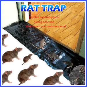 KOZI Big Size Mouse Board Sticky Mice Glue Trap High Effective Rodent Rat Snake Bugs Catcher(COD)