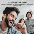 YS - 203 Wireless Bluetooth Karaoke Speaker With Free Double Microphones. 