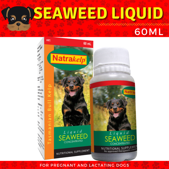 Natrakelp Liquid Seaweed Concentrate for Hypothyroidism, Obesity and
