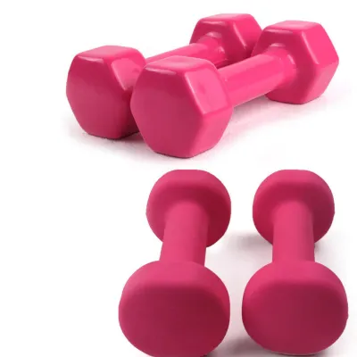 [IN SG STOCK]Non-Slip Matte Coated Round Dumbbells Pair - for Women & Kids Home Workout & Fitness Training