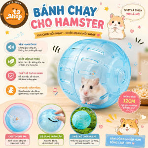banh chạy không đế dành cho hamster - T3 PETS SHOP