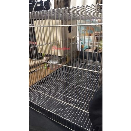 Balochina Racks 12x12 PALOCHINA NB BACKDOOR | Lazada PH