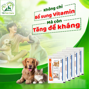 Vitamin Tổng Hợp Tăng Cường Hệ Miễn Dịch Cho Chó Mèo BioVit - Men Vi Sinh Tăng Đề Kháng Dành Cho Thú Cưng