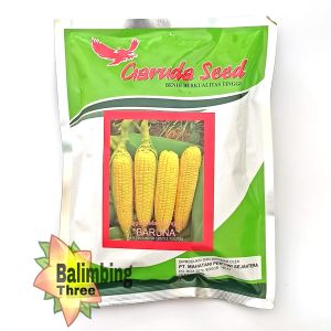 Benih Jagung Manis OP Unggul Baruna Garuda Seed