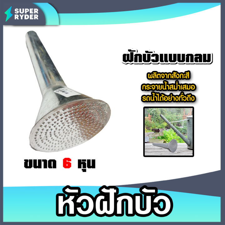 หัวฝักบัวรดน้ำสังกะสีทรงกลม 6 หุน