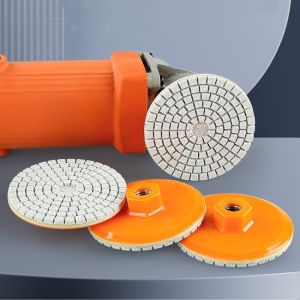 [HCM] Đĩa mài đĩa chà nhám đánh bóng đá hoa cương  gạch  bê tông 100mm -GL314