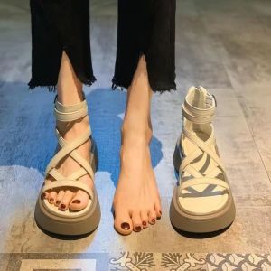 [Free Shipping] Summer New Fashion Thick-Soled Platform Sandals For Women Versatile With Hollowed-Out Design Crisscross Straps And A Back Zipper Resembling Roman Boots