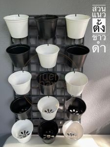 สวนแนวตั้ง ขาวสลับดำ กระถาง 4 นิ้ว ขนาด 35*62 ซม. พร้อมประกอบให้ ไม่สามารถสั่งรวมกับสินค้าอื่นได้ สั่งได้ไม่เกิน 5 อัน/ออเดอร์