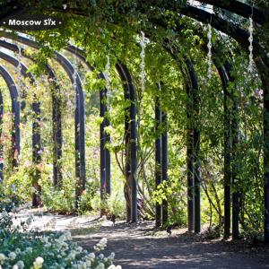 [Nóng] 12 lần que xoay chống đuổi chim thiết bị điều khiển ngăn chặn xoắn ốc phản xạ