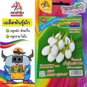ม้ารุ้ง  🇹🇭 ผักซอง ม้ารุ้ง Z063 มะเขือใข่เต่าขาว เมล็ดพันธุ์  เมล็ดพันธุ์ผัก เมล็ดผัก ผักสวนครัว ตราม้ารุ้ง
