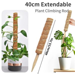 1PCS Plant Cages Supports Reusable Plant Climbing Stand Durable Flower Plants Support For Balcony Garden Courtyard Easy To Use