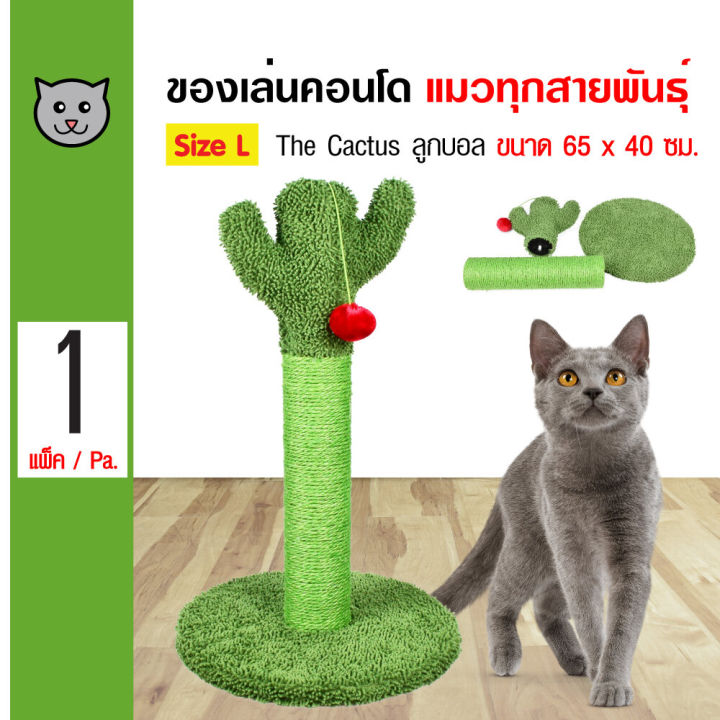 Kanimal คอนโดแมวต้นกระบองเพชร Size L พร้อมลูกบอล