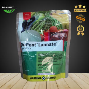 Lannate 40SP - 425g / Insecticide