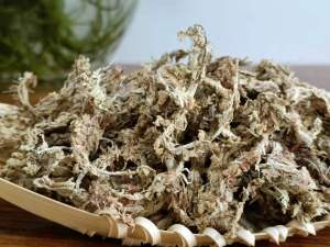 LZD  In Stock Chile Water Moss Orchid Soil Green Plant Potted Soil Nutrient Soil Caterpillar Water Grass Red Grass Artificial White Grass Water Moss Chile