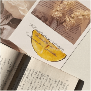 MISSUP Delicate Apple Bookmark Transparent Unique Grape Tomato Bookmarks  Premium Feeling Simulation Bookmark Student Gift