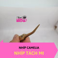 Nhíp tách mi - Nhíp Tháo Mi Camellia Chuyên Dùng Tháo Mi Và Nối Mi Classic - Dòng Nhíp Nối Mi Cao Cấp Nhập Khẩu Pakistan - Hani Beauty.
