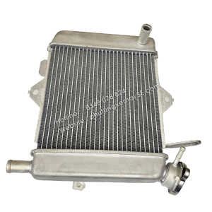 Két tản nhiệt xe Raider 150