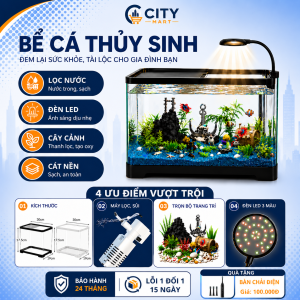 Bể Cá Mini thủy sinh CITY MART Có Đèn LED Máy Lọc Nước Bể Cá Để Bàn Tặng Phụ Kiện