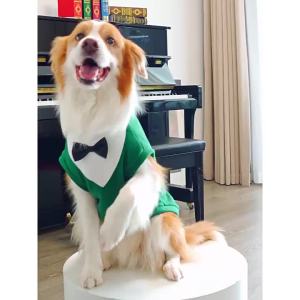 Large Dog Golden Retriever Autumn Winter New Apparel Corgi Cat SuitDress Cat Clothes Dog Supplies