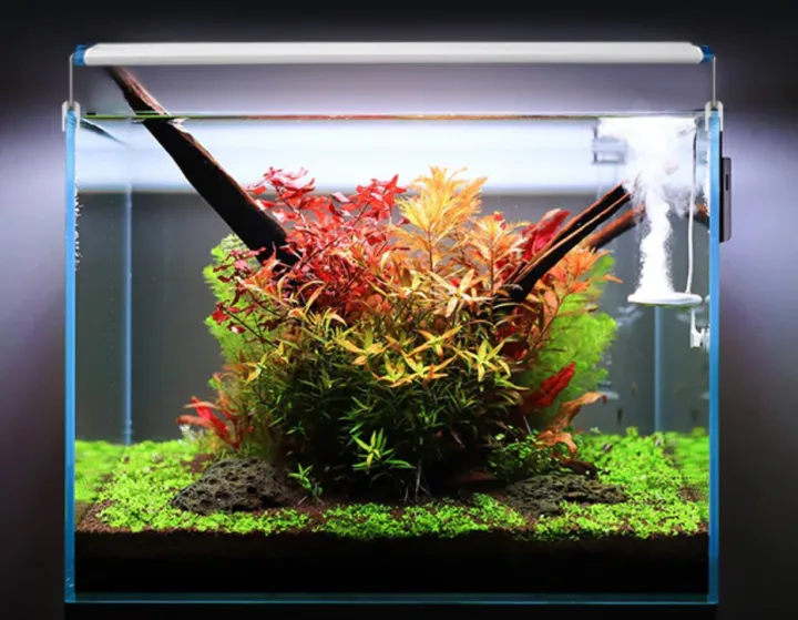 SG Local Stock Super Slim LED Aquarium Lighting Aquatic Plant