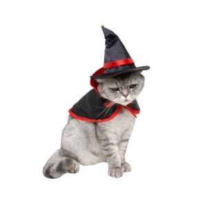 OUTOPEN Pumpkin Pattern Halloween Cat Cloak Bat Adjustable Pet Cosplay Costume Set Festive Gifts Lightweight Halloween Dog Costume Home Decor