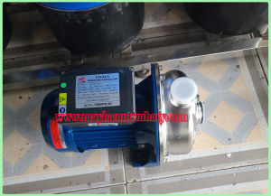 Bơm nước 550w Hãng Ewara. Model - CDXM 70/07