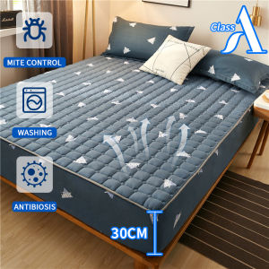 Luxe Home Haven Printed Mattress Protector with Cotton Single/Queen/King Mattress Protector Sheet Anti-Slip Fixed Bed Cover Dust Cover Cadar 床单