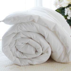 🎇GIÁ SỈ🎇 Ruột Chăn Khách Sạn 2m2x2m Cao Cấp Ruột Mền Bông Microfiber Nhập Khẩu Mềm Mại Dày Dặn