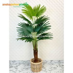 Tanaman Artificial Pohon Hias Palem Sadeng T160 Latex Pot Dasar Hitam Cover Keranjang Rotan Bulat Dekorasi Ruang Cafe Aesthetic