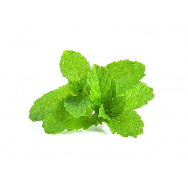 Peppermint spearmint lemon mint herb seeds Lazada PH