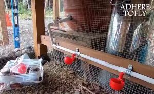 5Pcs Chicken Water Drinker Bowl/Automatic Poultry Chicken Water Drinker Cup/Feeder for Bird Rabbit