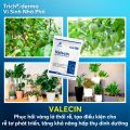 Chế phẩm vi sinh Nematop Dế Mèn - Giải pháp quản lý tuyến trùng rễ 500g. 