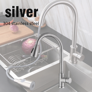 SUS304 Kitchen Faucet Pull Out with Filter Tap Flexible 360° Rotation WIth Hose Modern Brushed Design Multifunctional