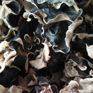 Supliyer Jamur Kuping Kering Grade A Super / Jamur Hitam Kering Sortir TERMURAH