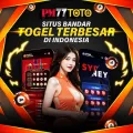 PM77TOTO: Situs Deposit Pulsa Tanpa Potongan Terbaik. 