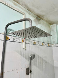 Bát Sen Cây Visenta Hoa Sen Tắm Đứng Vuông 25x25cm Inox 304 Mạ Bóng Hàng Dày Sử Dụng Ren 21