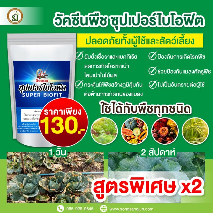 10 อันดับ ไคโตซานพืช ยี่ห้อไหนดี? วัคซีนพืชคุณภาพสูงสำหรับสวนสวย อัปเดตปี 2025