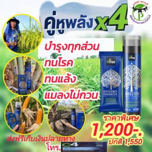 4Treeของแท้ โฟร์ทรี+บู๊สเตอร์ คู่หูพลังคูณ 4 สารเพิ่มประสิทธิภาพพืชสูตรอิออน อินทรีย์ธรรมชาติแท้ [1 ชุดใช้ได้ 20 ไร่ ]ช่วยเร่งขยายราก พืชโตเร็ว เขียวทน เขียวนาน เพิ่ม%แป้ง เพิ่มน้ำยาง นวัตกรรมใหม่จากอิสราเอล ใช้ได้กับพืชทุกชนิด ของแท้100%