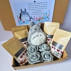 ✨ Totoro Kawaii Miyazaki Hayao Birthday Valentines Treats and Snacks Surprise Package for LDR Couple Gray