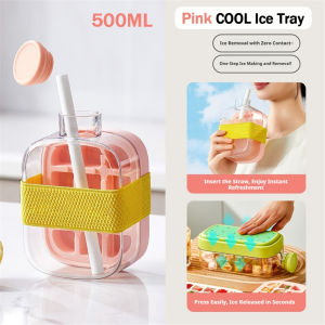 2 in1 Ice Cube Maker Bottle With Straw Ice Cube Molder Ice Lattice Tray Food-Grade Silicone Push-Type Ice Tray Mold Household Ice Storage And Ice Making Box With Lid Cube Maker Ball Mold Summer Cold Drinking Kettle