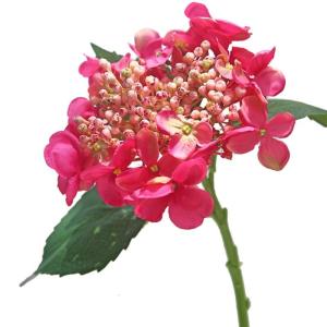 Silk Hydrangea Flower Artificial Flowers Bouquet Centerpieces for Tables Vase Wedding Decoration Flower Arrangement