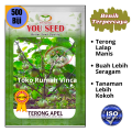 Benih Bibit Terong Bulat Manggis TERONG APEL 500s Cap You Seed. 