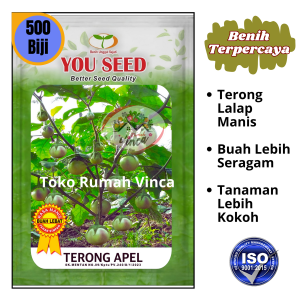 Benih Bibit Terong Bulat Manggis TERONG APEL 500s Cap You Seed