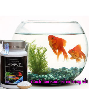 Aquarista của Nhật lọ 100v màu trắng men vi sinh giúp làm trong nước cân bằng PH cắt rêu tảo cá khoẻ