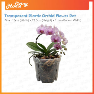 Round Transparent Plastic Orchid Flower Pot Pasu Bunga Orkid Plastik Big Size 15cm Width 11cm Height