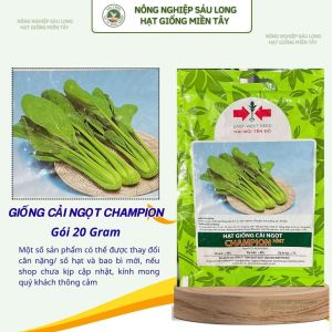 GÓI 20 GRAM - HẠT GIỐNG CẢI NGỌT CHAMPION HAI MŨI TÊN ĐỎ - LÁ BÓNG MƯỢT