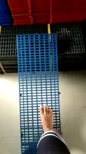 Winwin Plastic Matting 1X3 Ft Blue