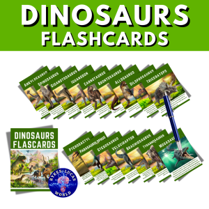 LAMINATED DINOSAURS FLASH CARDS FOR KIDS  WILD ANIMALS FLASH CARDS SCIENCE EDUCATIONAL FLASHCARDS FOR KIDS
